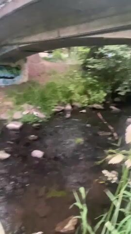 A short, shaky video shows a narrow stream flowing under a concrete bridge. The water is dark and reflects the overcast sky. Rocks and debris are visible in the streambed. Green foliage and trees line the banks. The camera appears to be held by someone standing near the edge of the water. There is no visible human presence in the video.