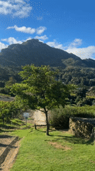 Wine tasting and dining experience at Cape Town vineyard