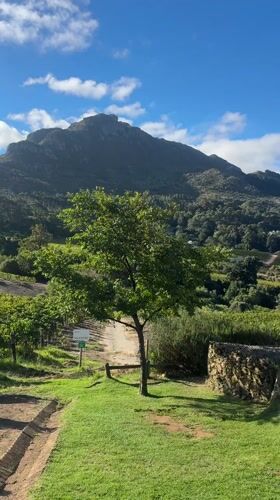 Wine tasting and dining experience at Cape Town vineyard