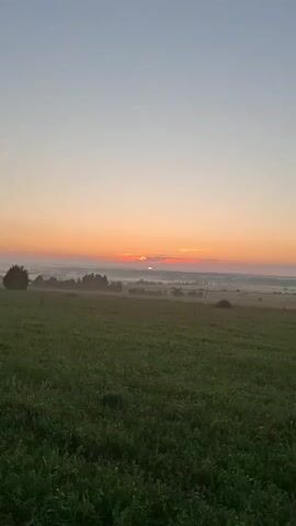 This is a vertical video of a peaceful sunrise over a misty landscape in Kaporskoe, Russia. The foreground is dominated by a lush green field of grass, with individual blades clearly visible. In the middle ground, a line of trees and a lone, dense tree stand out against the hazy distance. The background is a serene sky transitioning from a soft pink and orange near the horizon to a pale blue overhead. A sliver of the sun is just breaking through the clouds, casting a warm glow and creating a hazy, atmospheric effect across the fields and trees. The overall mood is tranquil and serene, evoking the quiet beauty of dawn. There is no visible text in the video.