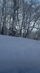 Winter scene captured from moving vehicle in snowy Kutchan