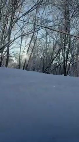 The video shows a snowy scene on a bright, sunny day. The sun shines through bare trees covered in snow or ice. There's a large snowbank in the foreground. The video is taken from a moving vehicle. Utility lines are visible above the trees.