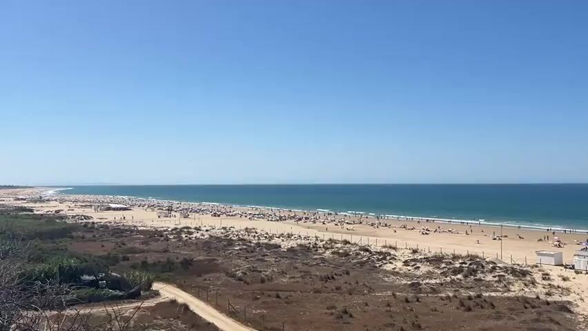 The video shows a wide-angle, elevated view of a crowded beach on a clear, sunny day. The ocean is a deep blue, meeting the horizon under a bright blue sky. The beach is packed with people, many under colorful umbrellas, sunbathing, and swimming. Some structures, possibly beach huts or kiosks, are visible on the sand. In the foreground, there is a sandy, vegetated area with a dirt path leading towards the beach. The scene conveys a sense of a popular, lively summer vacation spot.