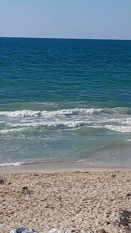 The video shows a beach. The ocean is on the left side of the frame, with blue water and white-crested waves rolling toward the shore. The sand is on the right side of the frame, with some dark spots scattered on it. The sky is visible in the upper left corner. The camera remains still during the video.