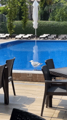 Morning leisure activities observed at Varna recreational facility