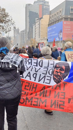 Multiple protest groups march in Santiago addressing housing, political issues