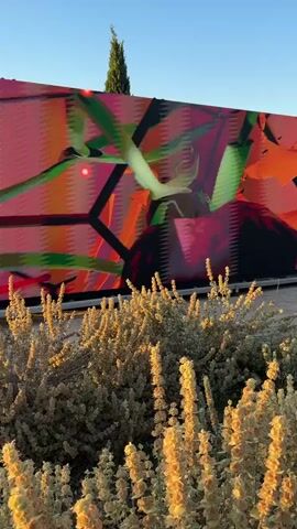 A large outdoor LED screen displays abstract, colorful digital art. The screen is positioned behind a dense patch of dry, light-colored vegetation. The sky is a clear blue, and the sun is casting warm light on the scene, illuminating the plants. The digital art on the screen features dynamic shapes and colors, including pink, orange, red, and green, with glitch-like visual effects. There are no people visible in the frame.