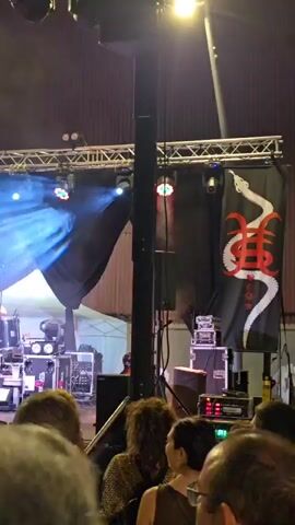 A band performs on stage, illuminated by spotlights. The lead singer, a bald man in a sleeveless shirt, plays a guitar. Behind him, a drummer sits at a drum kit. The stage is decorated with a black banner featuring a white snake graphic. The audience is visible in the foreground, their backs turned to the camera. The venue appears to be an indoor space with corrugated metal walls. The lighting is a mix of blue, white, and red spotlights, with smoke effects adding to the atmosphere. The overall impression is a live rock concert.