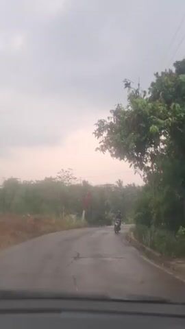 The video shows a wet asphalt road with a few cracks. On the left side of the road, there is dry grass and a few trees. On the right side, there is a cluster of trees and a house with a red roof. A motorcycle is visible on the road ahead. The sky is overcast.