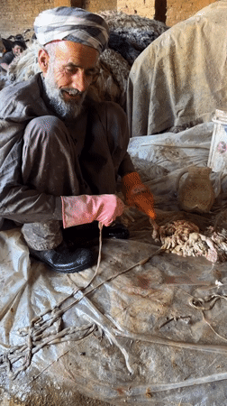 Traditional animal processing work documented in Quetta facilities