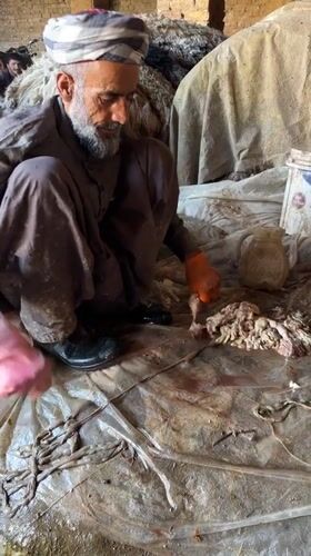 Traditional animal processing work documented in Quetta facilities