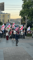 Pro-Western demonstration fills Tbilisi streets with international flags