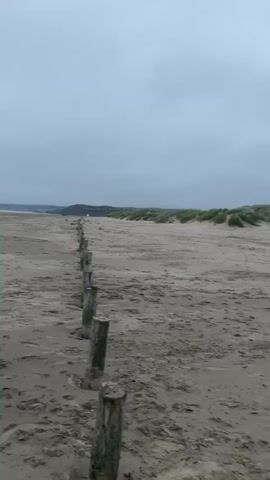 A first-person perspective video shows a sandy beach on an overcast day. A line of wooden posts extends into the distance along the left side of the frame, disappearing into the haze. The beach is mostly empty, with a few distant figures visible as small specks. The ocean is a pale blue, meeting the sand under a grey sky. The camera pans slightly, revealing more of the vast, empty beach and the low-lying dunes on the right side of the frame. The overall impression is one of solitude and a somewhat muted, atmospheric environment.