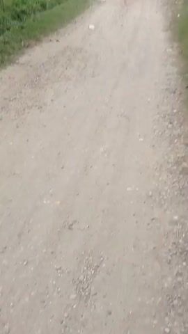 A dirt road in a rural area. Several people, including children, are visible on the road. Some children are playing near a house on the left side of the road, while two women and a child are standing in the middle of the road. The surroundings include trees, vegetation, and a small building. The video appears to be filmed from a moving perspective, possibly a vehicle.
