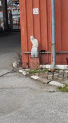 White cat spotted on utility box in Plovdiv