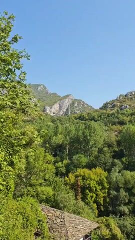 The video shows a mountainous landscape with lush green trees and a clear blue sky. In the foreground, parts of buildings with tiled roofs are visible. The sun is shining brightly, suggesting it is daytime. The vegetation appears dense and varied, indicating a natural, possibly rural, environment. There are no people or significant actions depicted, focusing solely on the scenery.