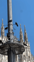 Midday at Piazza del Duomo, Milan's Gothic heart