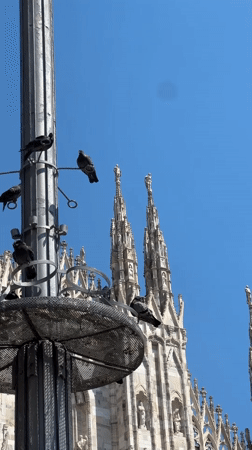 Midday at Piazza del Duomo, Milan's Gothic heart