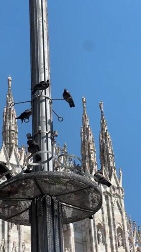 Midday at Piazza del Duomo, Milan's Gothic heart