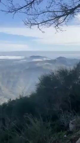 The video shows a high-altitude view of a valley on a sunny day with patchy clouds. The foreground features vegetation, including a bush and a tree branch at the top of the frame. The valley below has a hazy, misty appearance with visible layered terrain, suggesting a mountainous region. Patches of green indicate vegetation interspersed with areas of brown soil. A long, flat layer of clouds sits above the valley floor, obscuring the horizon. The sky above is clear and blue. The camera is static, providing a fixed view of the landscape.