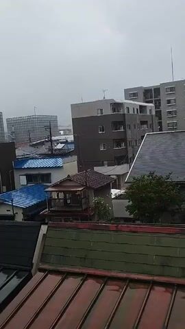 This is a panning video of an urban landscape on a cloudy or overcast day. In the foreground, there are several rooftops, some with red tiles and others with green tiles. Beyond the rooftops, there are a variety of buildings, including a multi-story apartment building with many windows, and smaller houses with tiled roofs. There is also a glimpse of a tree and some power lines. The overall impression is of a residential or mixed-use urban area.