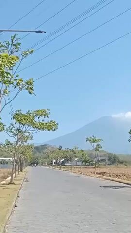 The video shows a paved road with a stone border on the left. Along the left side of the road are several trees with green foliage and a sidewalk. In the distance, there are buildings and a mountain peak shrouded in clouds. The sky is clear and blue. Power lines are visible stretching across the top of the frame.