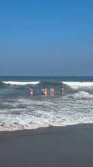 Tiny crabs swarm volcanic beach as swimmers enjoy North Kuta waters