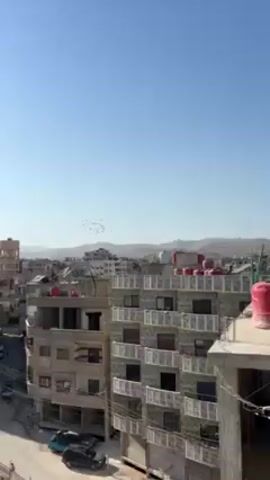 The video shows a flock of birds flying in the clear sky over a cityscape. The buildings have flat rooftops with water tanks and solar panels visible. The background features a range of hills, suggesting a location outside a major metropolis. A street with vehicles and a pedestrian is visible in the foreground. The weather appears sunny and warm.