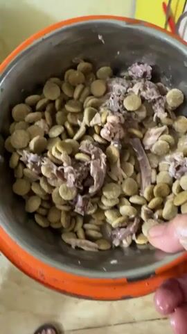 A close-up shot shows a hand reaching into a dog bowl filled with dry kibble and shredded meat. The bowl is orange with a silver rim and sits on a light-colored, marbled floor. The camera then pans out to reveal a brown and white dog with its head down in the bowl, eating. The dog is wearing a collar. The environment appears to be indoors, with a yellow object visible in the background. The video cuts out as the dog continues to eat.