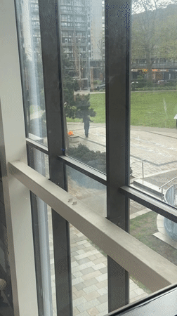 Person seen skipping rope in London park morning exercise