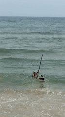 Beachgoers and dining observed at Huế coastline