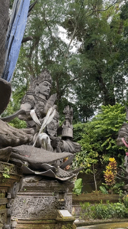 Hindu statues and rice terraces documented in Bali
