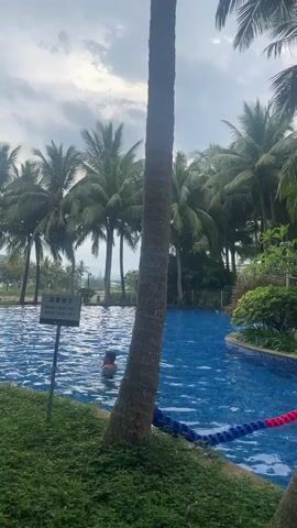 A person swims in a bright blue pool surrounded by palm trees. The water is clear and the bottom is visible. There is a small pink object floating in the water near the person. There are lane dividers in the pool. A sign is visible on the left side of the pool. A building is visible in the background.