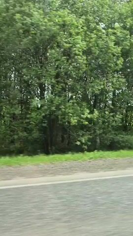 The video shows a view from a moving vehicle on a paved road. The scenery consists of lush green trees and grassy areas along the roadside. The sky is overcast with gray clouds. There are no people or other vehicles visible in the video. The focus is on the passing landscape.