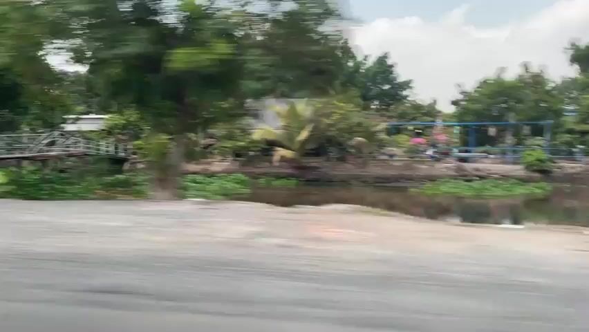 The video shows a view from a moving vehicle driving along a road. The environment consists of roadside vegetation including trees and grassy areas. In the background, rice paddies can be seen in the distance under a cloudy sky. The camera moves swiftly past the scenery.