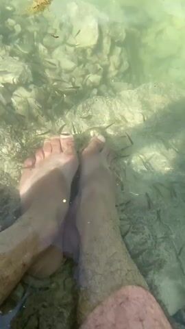 The video begins with a close-up view of two bare feet submerged in clear, shallow water. The feet are positioned near the bottom of a body of water, which appears to be a lake or a river, with a rocky and sandy substrate visible through the water. Numerous small fish, appearing to be minnows or similar small aquatic species, are swimming around the feet. The water has a greenish tint, likely due to algae or the sunlight. As the video progresses, the camera angle shifts, providing a wider view of the surroundings. The scene transitions to a slightly higher angle, showing more of the shoreline, which is sandy and appears to be a natural embankment. The water continues to be clear and shallow, with the small fish still visible and active. The overall impression is that of a natural, serene environment where the feet are interacting with the aquatic life.