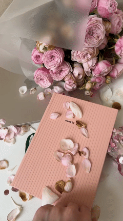 Pink roses, confetti balloons, and a Lego Porsche gift reveal