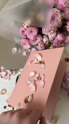 Pink roses, confetti balloons, and a Lego Porsche gift reveal