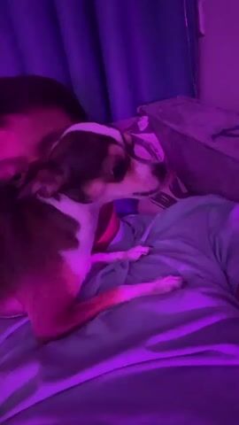 A small dog with white and brown markings is licking the face of a person lying down. The person's head is turned towards the dog, and their body is mostly covered by a blue shirt. The scene is illuminated by purple lighting, creating a dim and atmospheric environment.