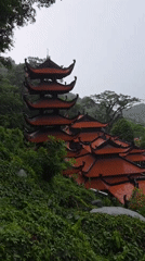 Tourist captures Buddhist temple, stone Buddha, orange crabs in Vietnam