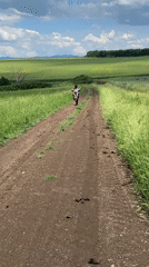Dirt bike rider travels rural roads during morning ride