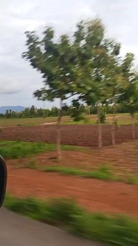 The video shows a rural landscape from the perspective of a moving vehicle. The foreground features a red dirt road and lush green vegetation. In the midground, there are agricultural fields, some appear to be tilled and bare, while others have low green crops. Several young trees are scattered across the fields. In the far background, a line of trees forms a distant treeline, and mountains are visible on the horizon. The sky is overcast with dramatic clouds. A single person is visible in the left midground, walking in a field. The side mirror of the vehicle is partially visible on the left side of the frame, indicating the perspective is from inside a car. The overall impression is that of a journey through a cultivated rural area under a cloudy sky.