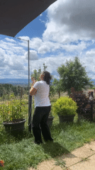 Woman enjoys sunny afternoon with dog on French patio