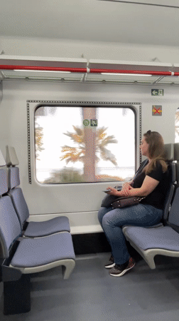 Train passenger spotted using phone near Calella, Spain