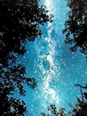 Night observer documents starry skies, artwork, wildlife across 16-minute span