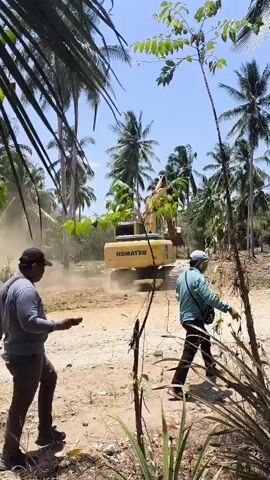 An excavator is seen clearing an area in a tropical environment. Two men are present in the foreground, one holding a long stick, the other walking. Palm trees dominate the background, suggesting a plantation or forested area. The excavator is actively working, kicking up dust as it moves. The scene is illuminated by bright sunlight under a clear blue sky.