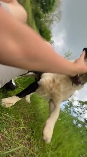 Peaceful animal encounters captured in Bulgarian hillside town
