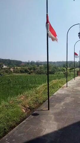 A vertical video captures an outdoor scene with a clear blue sky. In the foreground, a paved pathway runs along the right side of the frame. A black pole stands vertically, supporting a tattered red and white flag. To the right of the pathway, a series of black lampposts with decorative curved tops are visible, spaced out along the path. The leftmost lamppost has a hanging lantern. Further down the path, another red and white flag can be seen on a pole. To the left of the pathway, a lush green field stretches towards a treeline. Some buildings and trees are scattered in the background. The lighting suggests it is daytime with bright sunlight.