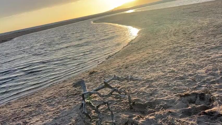 The video shows a tranquil beach scene at sunset. The camera is positioned low to the ground, focusing on the sand and a small body of water. In the foreground, a piece of driftwood lies on the sand. The water, which appears to be a lagoon or calm inlet, reflects the warm golden light of the setting sun. The sun itself is low in the sky, casting a bright glow and illuminating the distant hills or mountains in a hazy silhouette. The overall atmosphere is peaceful and serene. There are no people or animals clearly visible in the frame, though faint figures may be perceived in the far distance along the coastline. The lighting suggests it is either early morning or late evening, with the sun creating lens flare effects in some shots.