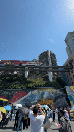 Colorful train draws crowds at Chongqing's elevated Liziba Station